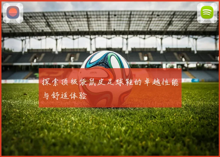 探索顶级袋鼠皮足球鞋的卓越性能与舒适体验