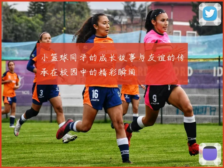 小篮球同学的成长故事与友谊的传承在校园中的精彩瞬间