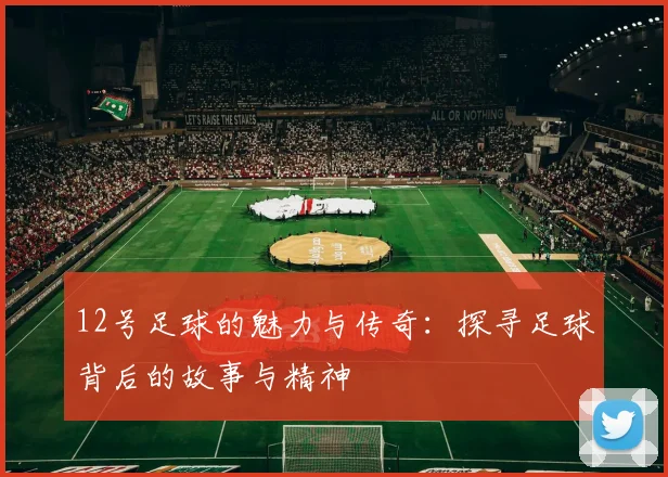 12号足球的魅力与传奇：探寻足球背后的故事与精神
