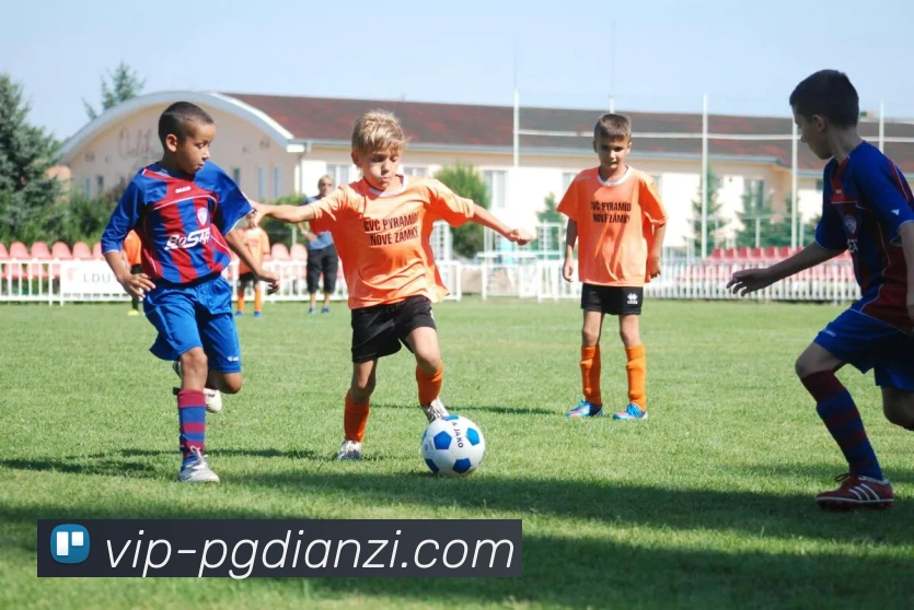 pg麻将胡了平台生态图